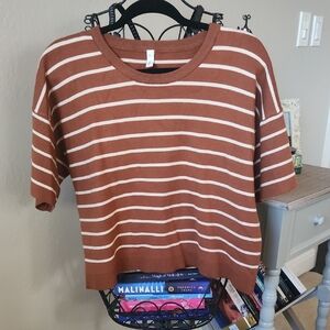 Wishlist Brown and White Striped Sweater